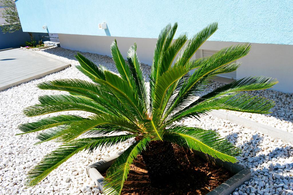 פודסטראנה Permarinus Apartments מראה חיצוני תמונה